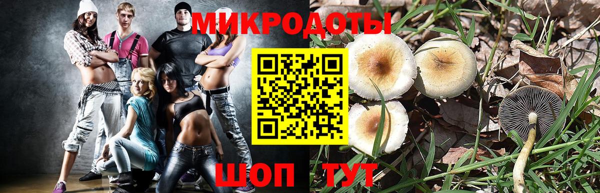 Галлюциногенные грибы Magic Shrooms  Вход с VPN  Копейск 